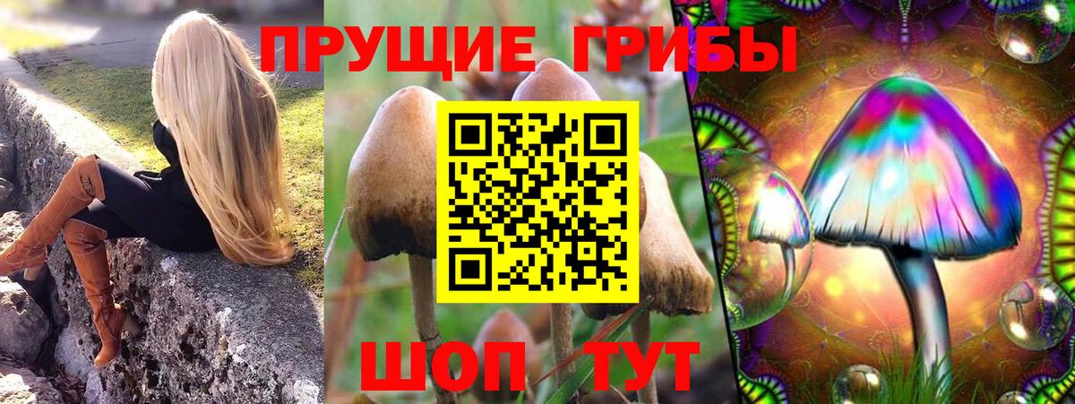 Галлюциногенные грибы Cubensis Ялта